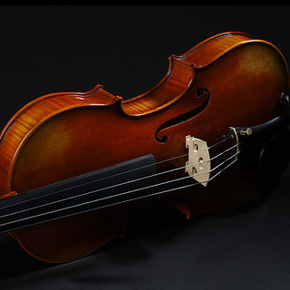SEENWINS圣维斯SW026德国云杉纯手工专业演奏小提琴成人儿童考级