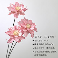 美学黑客 迷你小雏菊室内小干花真花干花花束装饰客厅餐桌卧室天然混搭组合 3支云茶花粉红色