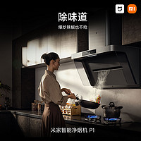 Xiaomi 小米 MIJIA 米家 P1 系列 CXW-165-MJ04CY 变频侧吸式吸油烟机