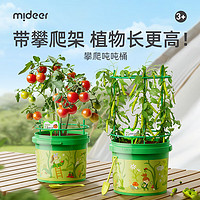 mideer 弥鹿 植物攀爬桶儿童植物种植生长观察盒科学实验万物生长-攀爬吨吨桶儿童节礼物