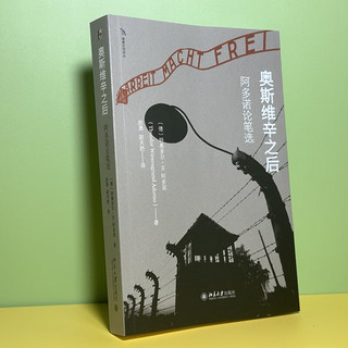 奥斯维辛之后：阿多诺论笔选 法兰克福学派思想领袖阿多诺基础读本
