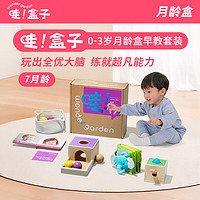 Wonder Garden 哇盒子0-3岁婴幼儿蒙氏家庭早教盒