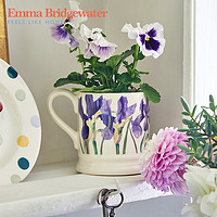 EMMA BRIDGEWATER 鸢尾蓝马克杯陶瓷咖啡杯英国进口emmabrigewater