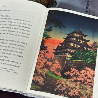金阁寺（插图珍藏版）