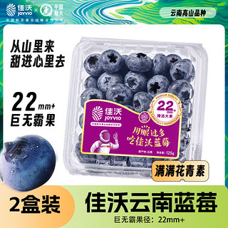 云南精选蓝莓巨无霸22mm+ 2盒装 约125g/盒 生鲜 新鲜水果