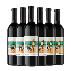 斯特尔马 加州赤霞珠 干红葡萄酒 2020年 750ml*6瓶 整箱装