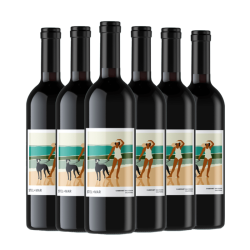 斯特尔马 加州赤霞珠 干红葡萄酒 2020年 750ml*6瓶 整箱装
