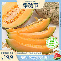 天猫超市 4-5斤装海南晓蜜哈密瓜现摘应季新鲜水果瓜