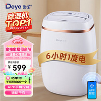 Deye 德业 DYD-E12A3 除湿机 12L/D