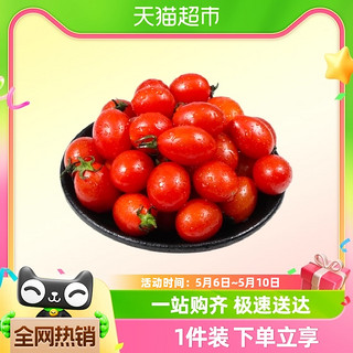 88VIP：天猫超市 圣女果小番茄5斤整箱