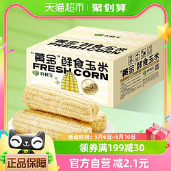 农科玉 东北白甜糯玉米黄金甜糯玉米8根装260g每根真空代餐粗粮非转基因