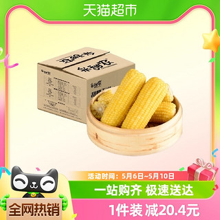 采甜农新鲜玉米黄糯玉米8支装1.76kg/箱真空玉米东北糯玉米