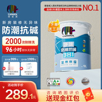 德爱威 白竹炭防潮抗碱高耐擦洗自刷涂料多效合一乳胶漆