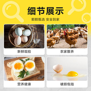 惠寻 京东自有品牌 农家鸡蛋混合40枚装1500g土鸡蛋30枚乌鸡蛋10枚