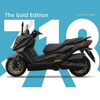 318 300T入藏版踏板摩托车水冷电喷运动生风消声器PKE智能钥匙 入藏版 黑金配色