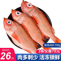 鲜拔头筹 红石斑鱼 大眼鱼富贵鱼深海鱼生鲜鱼类 海鲜水产 600-700g*3条