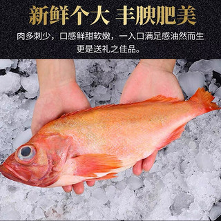 鲜拔头筹 红石斑鱼 大眼鱼富贵鱼深海鱼生鲜鱼类 海鲜水产 600-700g*3条