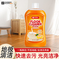 Eun jee 恩芝 雅彩洁地板清洁剂浴室瓷砖清洗剂强力去污除垢抛光拖地专用清洁液