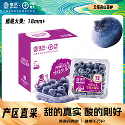 JOYVIO 佳沃 藍莓 125g*12盒