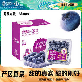 JOYVIO 佳沃 蓝莓 125g*12盒