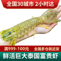 泛洋渔家傲【活鲜】泰国富贵虾超大公皮皮虾大个活虾虾类海鲜大虾 500g 2-4只 公虾