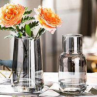 JINGDONG 京东 北欧ins风简约玻璃花瓶水培鲜花插花小花瓶客厅餐桌水养创意摆件