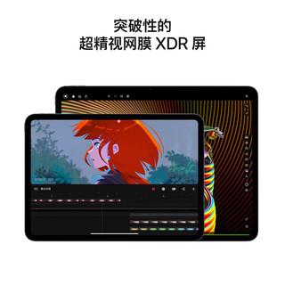 Apple 苹果 iPad Pro 2024款 M4版 13英寸 平板电脑（M4、16GB 、2TB、eSIM版、银色 纳米纹理玻璃）
