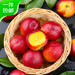 京鲜生 黄肉红油桃 净重4.5斤 单果60g起  新鲜水果 源头直发