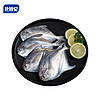赴鲜记舟山银鲳鱼 1000g 10条白鲳鱼平鱼国产海鲜水产 地理标志