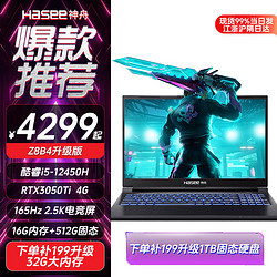 Hasee 神舟 战神Z8D6游戏本