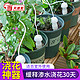 家装季：DEEPBANG 深邦 花园浇花神器自动浇水器 【1件装】0.8米（实发2个）