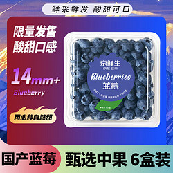 Mr.Seafood 京鲜生 蓝莓 6盒 约125g/盒 14mm+