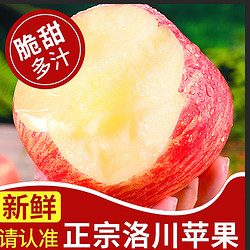满城红 洛川 陕西红富士脆甜苹果70mm（净重约4.5斤）