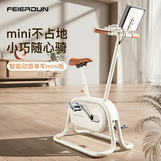 FEIERDUN 飞尔顿 动感单车mini健身器材家用减肥运动小型静音室内健身自行车