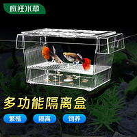疯狂水草隔离盒鱼缸幼鱼苗繁殖隔离盒BB-02孵化器孵化箱盒孔雀鱼繁殖盒