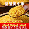 一级黄小米 忻州富硒小米2023年新小黄米 山西新米糯小米粥食用米