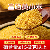 一级黄小米 忻州富硒小米2023年新小黄米 山西新米糯小米粥食用米