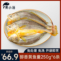 黄小渔 醇香黄鱼鲞250g*6条（净重1.5kg）大黄花鱼生鲜水产鱼类源头直发