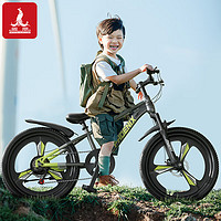 PHOENIX 凤凰 山地自行车 +车锁套装 18寸-适合身高115-140cm