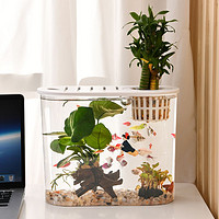SQG金鱼缸家用小型生态鱼缸高清透明塑料有盖办公桌椭圆形水族箱