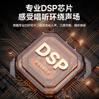  全民K歌 MZ38 便携式 无线K歌麦克风套装