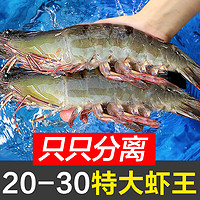 东上御品 青岛大虾 17-21cm 净虾3斤