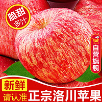 知鲜湾 苹果水果洛川苹果红富士时令新鲜脆甜冰糖心苹果礼盒整箱5斤