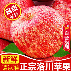 知鲜湾 苹果水果洛川苹果红富士时令新鲜脆甜冰糖心苹果礼盒整箱5斤