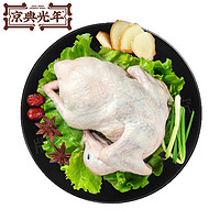 JIN DIAN GUANG NIAN 京典光年 鸽子肉生鲜新鲜汤鸽鸽王400g/只 冷冻 真空包装烧烤煲汤卤煮食材