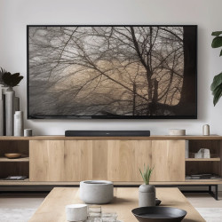 DENON 天龙 DHT-S218 4K杜比全景声全频回音壁 打造你的专属影院