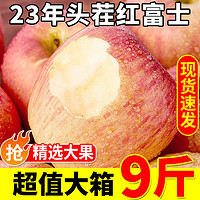 京愿 陕西新鲜红富士苹果脆甜丑苹果时令平果新鲜冰糖心苹果水果生鲜 9斤装优选（净重8.5-9斤）