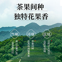 高山云雾绿茶2023新茶四川峨眉山明前日照茶叶自己喝浓香型耐泡