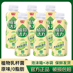 Bright 光明 植物活力活菌飲品低溫0脂肪原味340ml