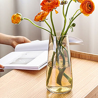 極度空間 玻璃花瓶插花瓶綠植物水培養生態瓶養花容器創意禮物書桌辦公桌家居裝飾擺件 琥珀色極光幻彩花瓶